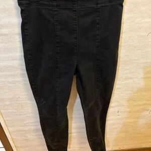 Pistola High Rise in Lodge Black Ally Jeans